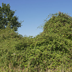 _8110149_DxOAxl.jpg