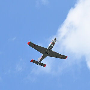 DSC_5600.JPG