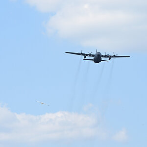 DSC_5635.JPG