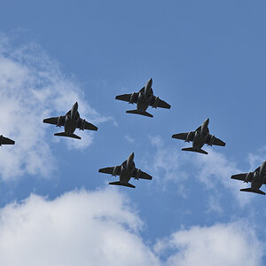 DSC_5729.JPG