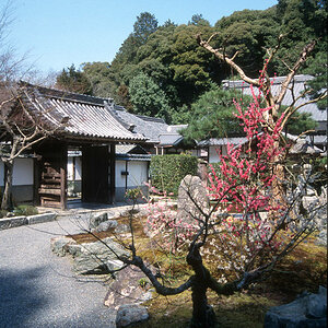 Kyoto, Unbekannter Tempel.jpg