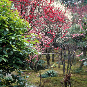 x Kyoto, Unbekannter Park.jpg