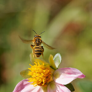N8175683nikon.jpg