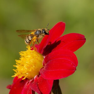 N8175534nikon.jpg