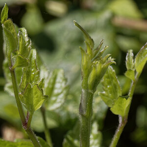 _8180216_DxOAxl.jpg