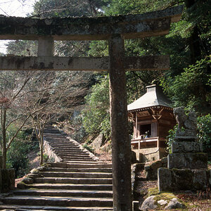 Nara, Schrein.jpg