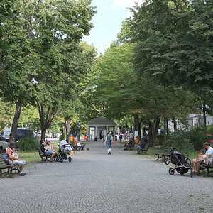 WKZ_6679_NF_dim 92.JPG