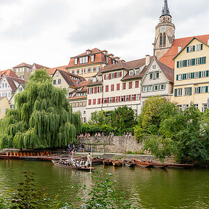A7R03469.jpg
