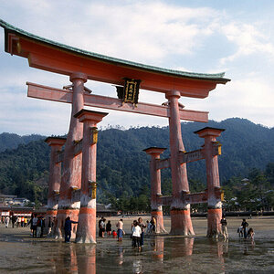Miyajima, Torii 2.jpg