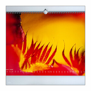 214/365 Peter Gabriel – Walk Through The Fire © 2025 Sabine Lommatzsch