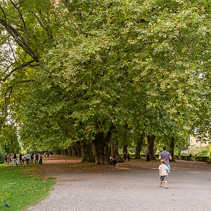 A7R03464.jpg