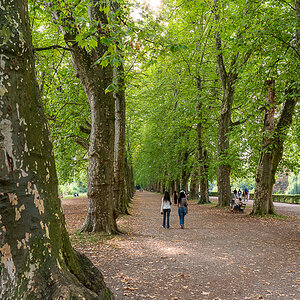 A7R03468.jpg