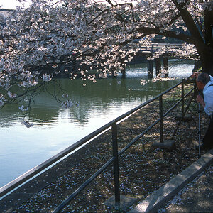 Hakone, Fotograf.jpg
