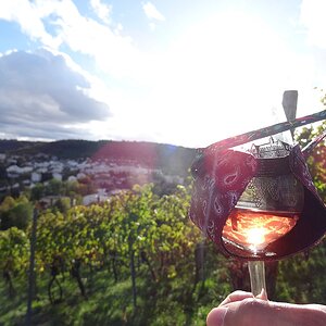 Wein.jpg