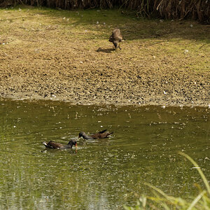 _8270432_DxOPAxl.jpg