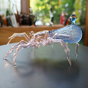 Glasspinne.jpg
