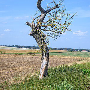 OFZ_02088.jpg