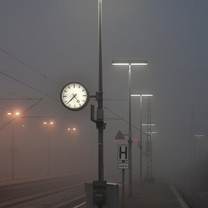 DSF_9641_nff.JPG
