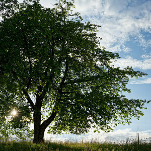 Abends in Bayern
