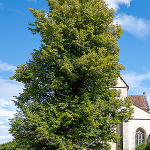 DSCF0043.jpg