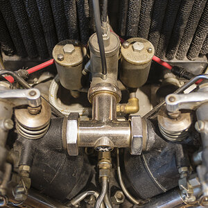 T51X0046-1.JPG