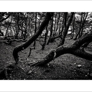 20250419-L1006165-Bearbeitet.JPG