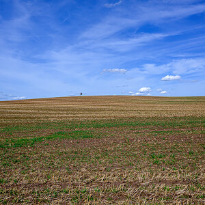 OFZ_02192.jpg