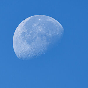 OF5_51245.jpg