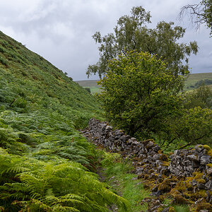 pw_20250828_2919.jpg