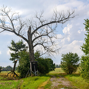 OFZ_02156.jpg