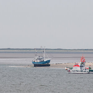 250828 Krabbenkutter FED 4-1.jpg
