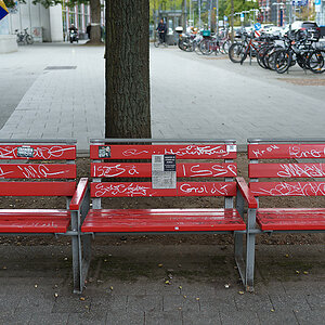 Schmierfinkenbank.jpg