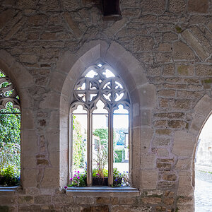 DSCF0105.jpg