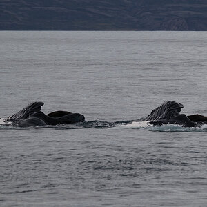 DSC_1712.jpg