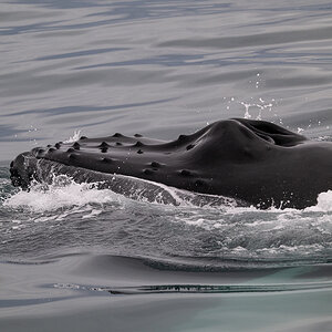 DSC_2051.jpg