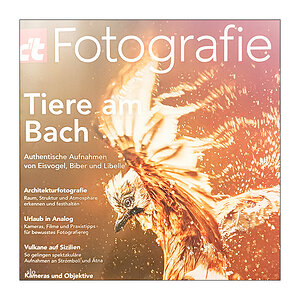253/365 Kari Bremnes – Birds © 2025 Sabine Lommatzsch