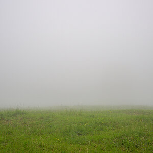 Morgennebel.jpg