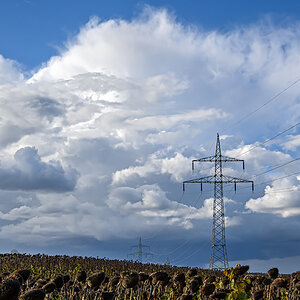 OFZ_02353.jpg