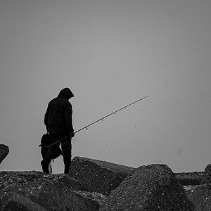 Angler