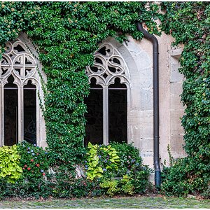Compressed_1079.jpg