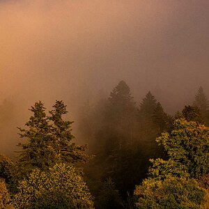 P9230016.jpg