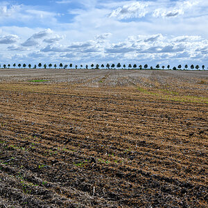 OFZ_02395.jpg