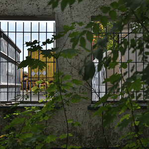 DSC_6550.JPG