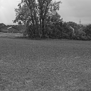 _DSC0780_DxOxl_SW.jpg