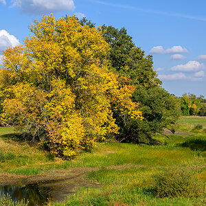 OFZ_02503.jpg