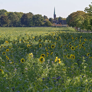 _DSC0869_DxOPxl.jpg