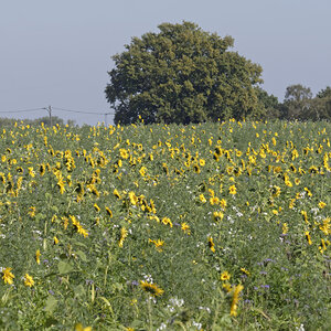 _DSC0903_DxOPxl.jpg