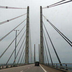 P1000828.jpg