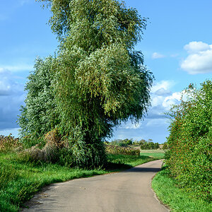 OFZ_02357.jpg