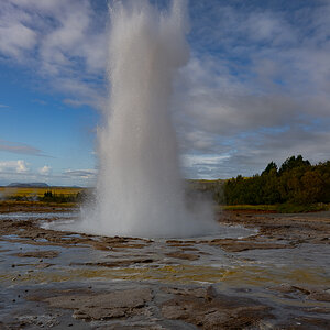DSC_0404.jpg